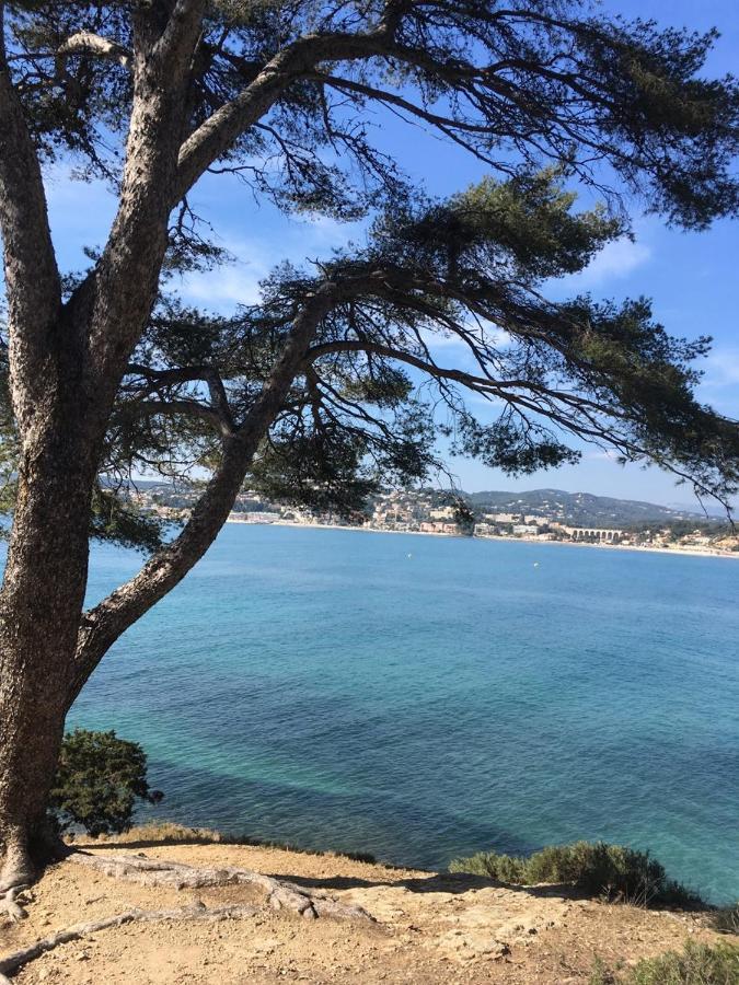 Les Galets De Sanary - Vue Mer エクステリア 写真