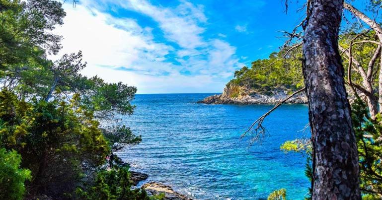 Les Galets De Sanary - Vue Mer エクステリア 写真